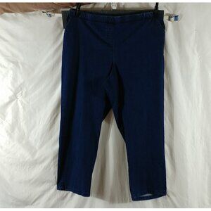 Allison Daley Women's Blue Straight Leg Pull Up Elastic Waist Jeans Plus Size 18